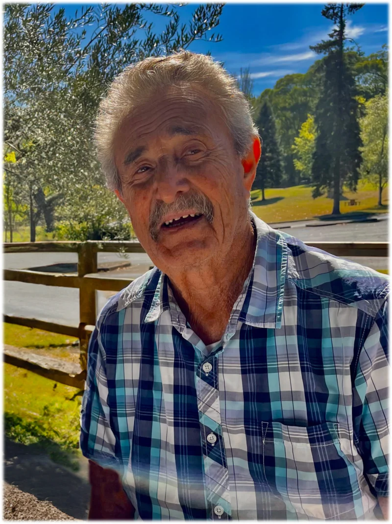 Ricardi Naldo